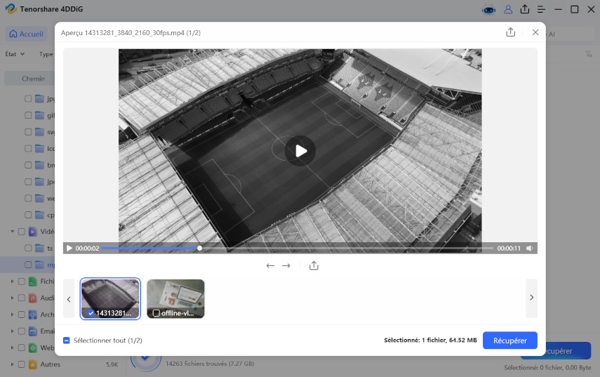 prévisualiser et récupérer les fichiers